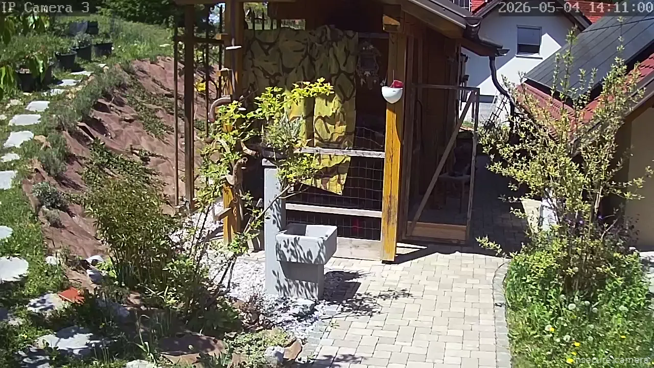 Capture from May 04, 2026 at 11:11 AM