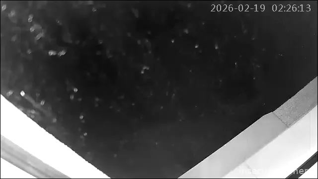 Capture from Feb 19, 2026 at 12:26 AM