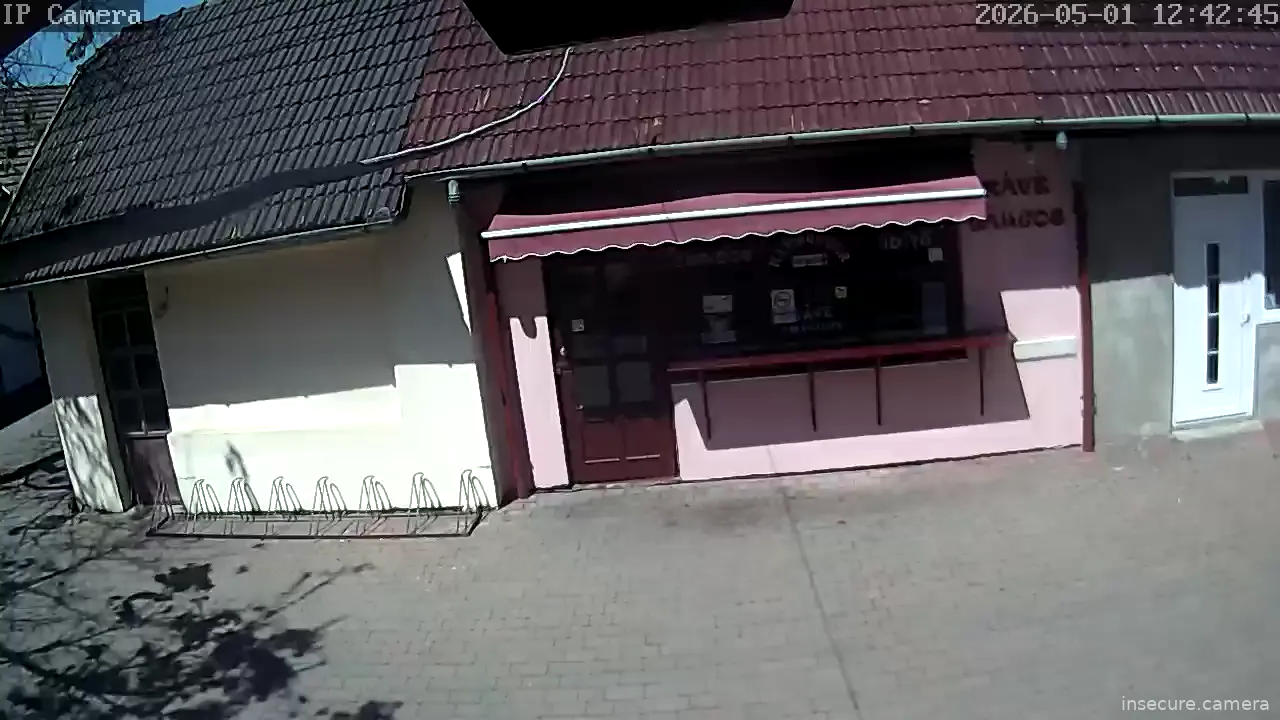 Camera in Hungary