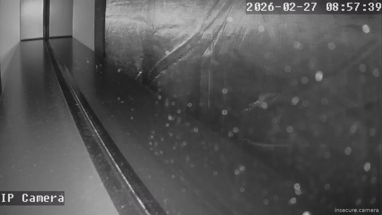 Capture from Feb 27, 2026 at 12:58 AM