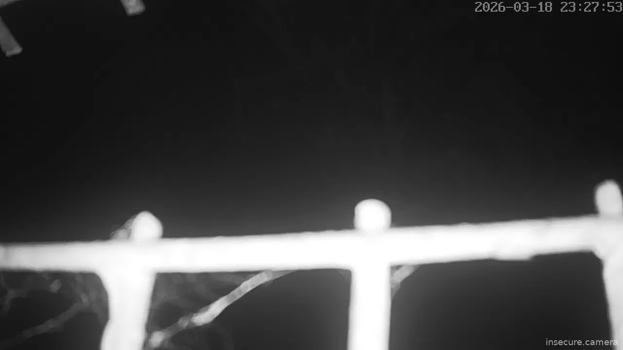 Capture from Mar 19, 2026 at 02:28 AM