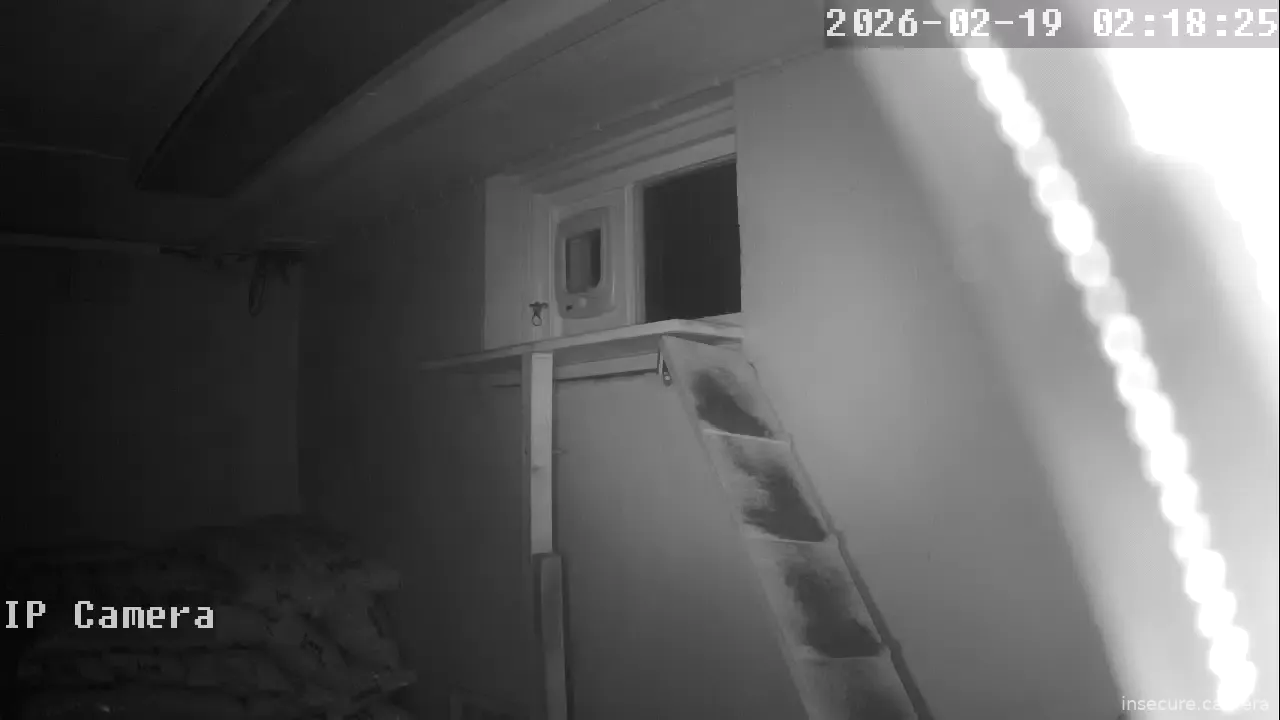 Capture from Feb 19, 2026 at 01:19 AM