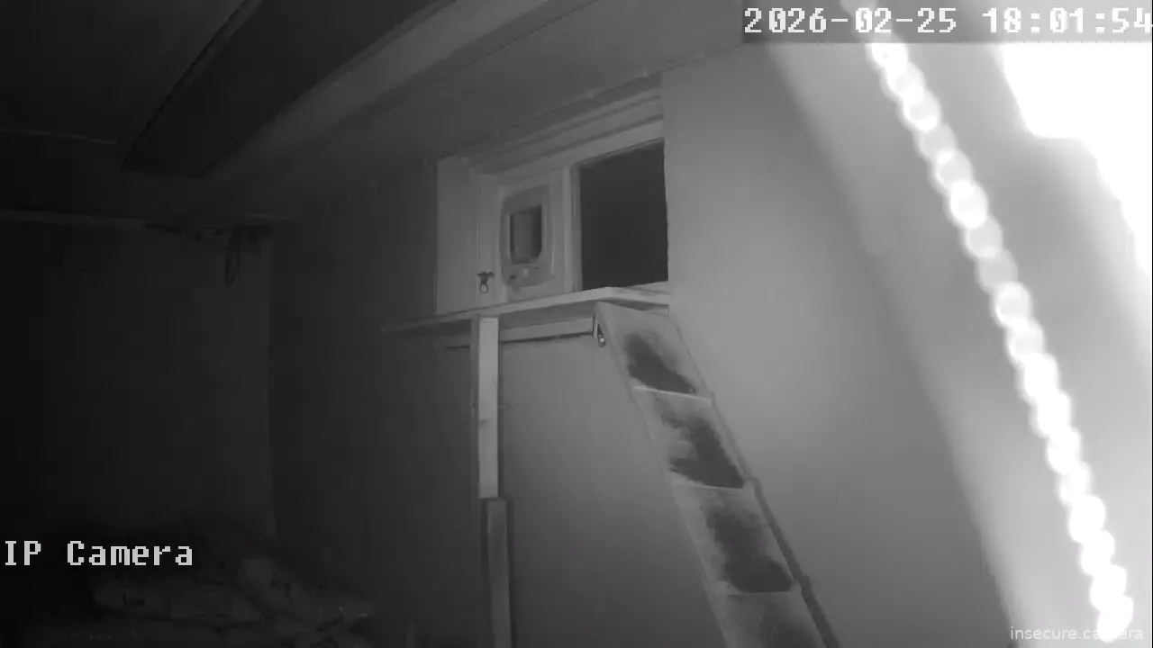 Capture from Feb 25, 2026 at 05:02 PM