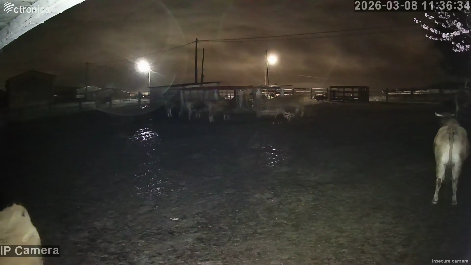 Capture from Mar 08, 2026 at 03:36 AM