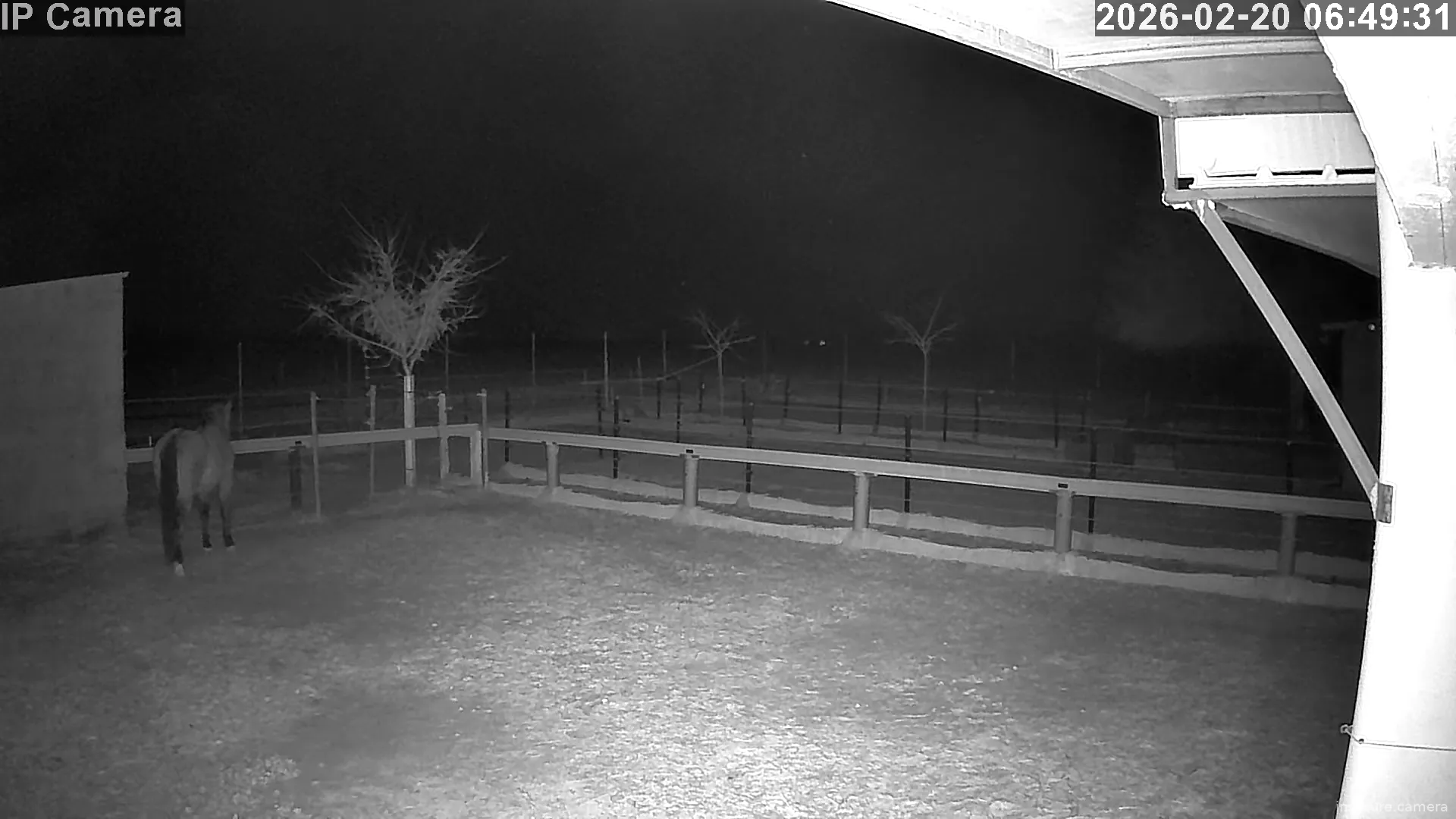 Capture from Feb 20, 2026 at 04:49 AM