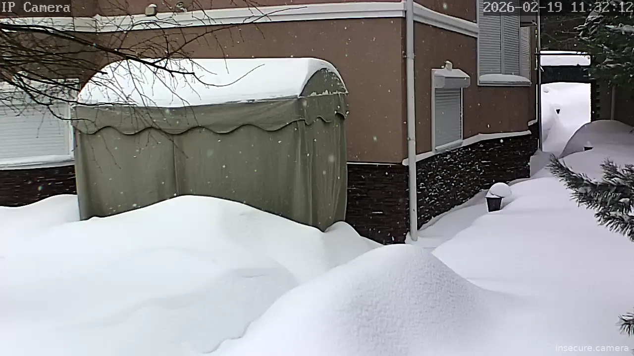 Capture from Feb 19, 2026 at 08:16 AM