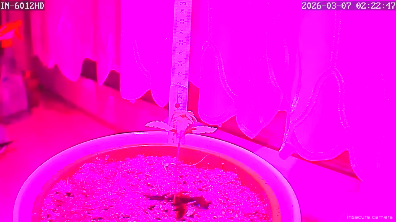 Capture from Mar 07, 2026 at 01:23 AM