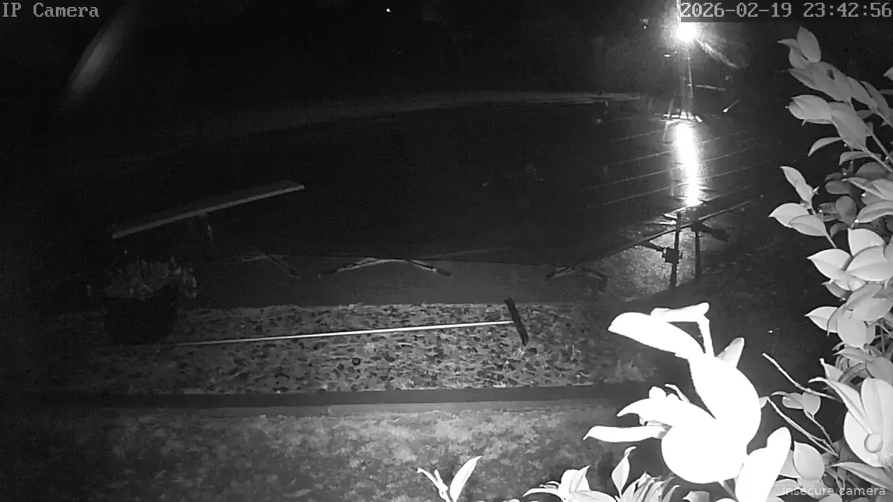 Capture from Feb 20, 2026 at 03:43 AM