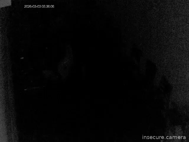 Capture from Mar 02, 2026 at 08:31 PM