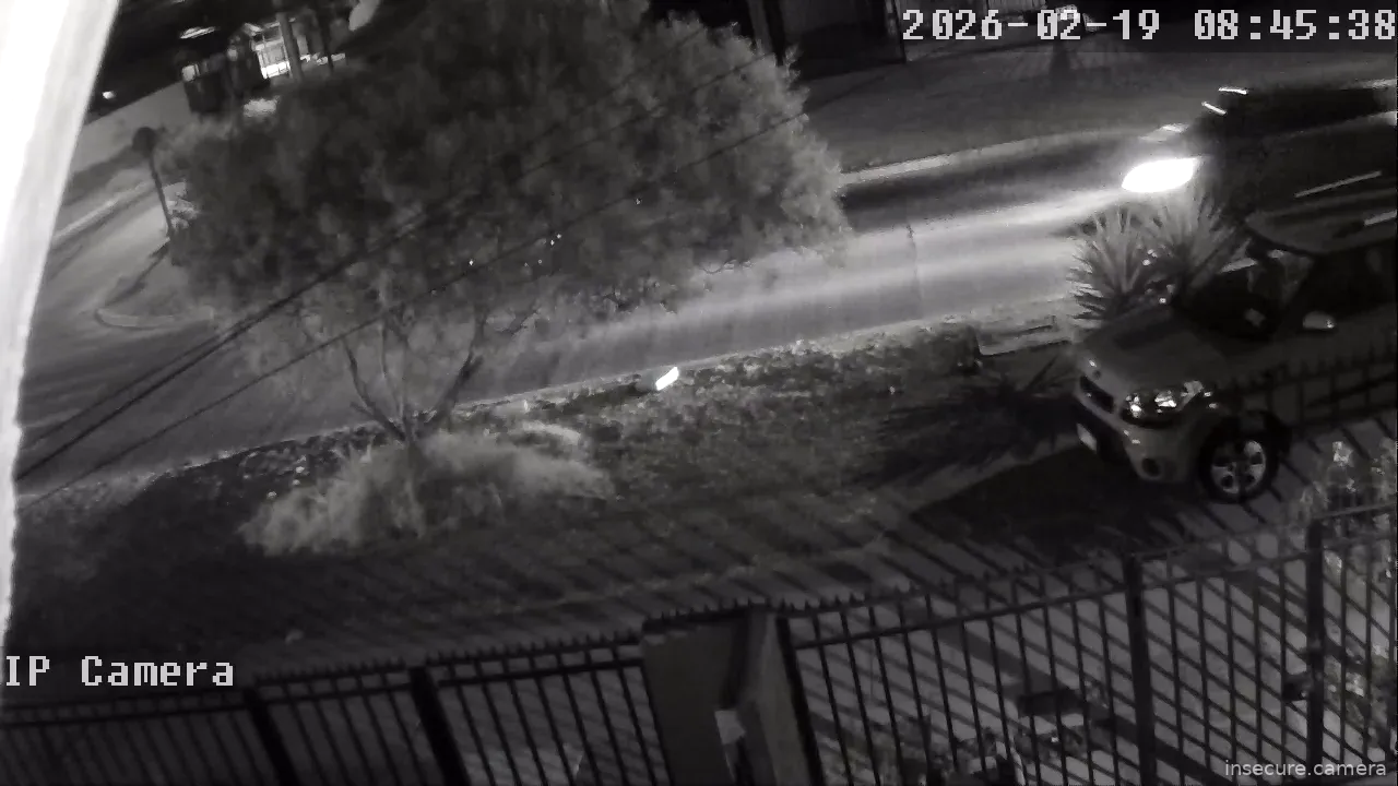 Capture from Feb 19, 2026 at 12:46 AM