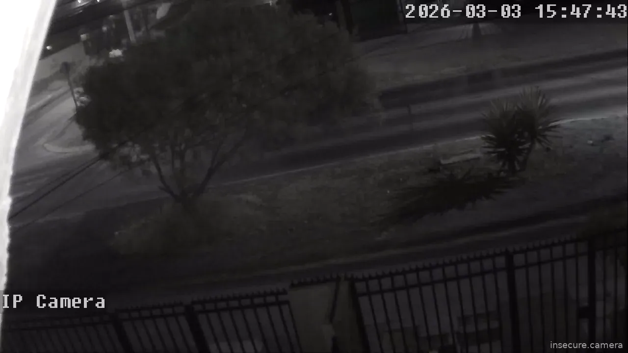 Capture from Mar 03, 2026 at 07:47 AM