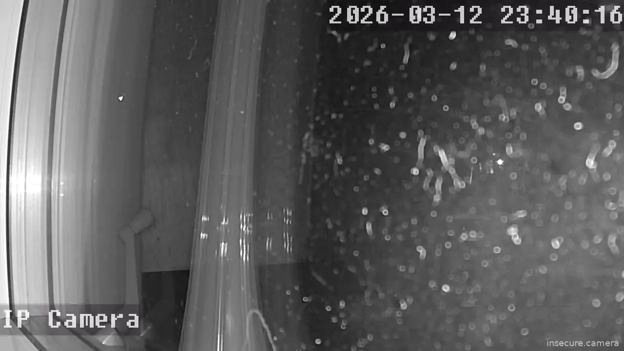 Capture from Mar 13, 2026 at 03:40 AM