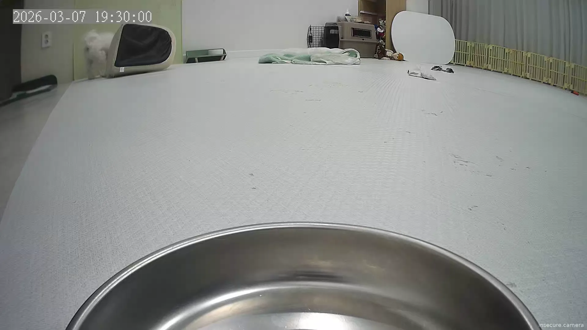 Capture from Mar 07, 2026 at 10:30 AM