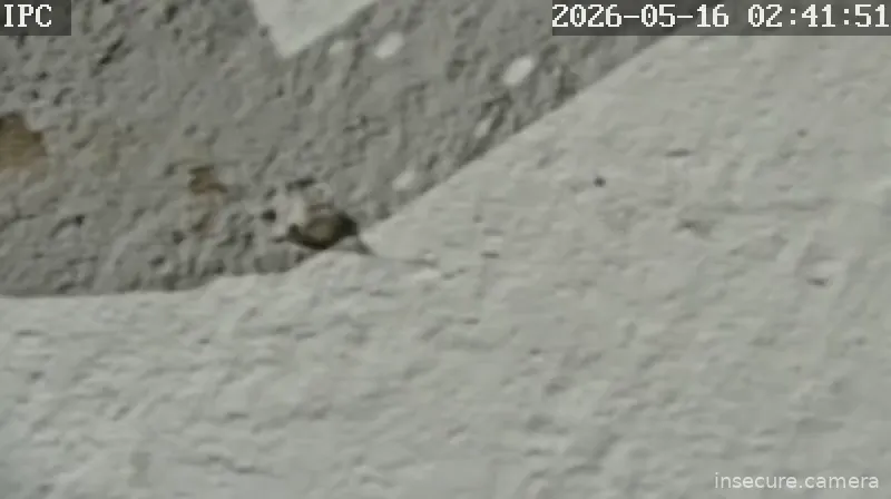 Capture from May 16, 2026 at 12:42 AM