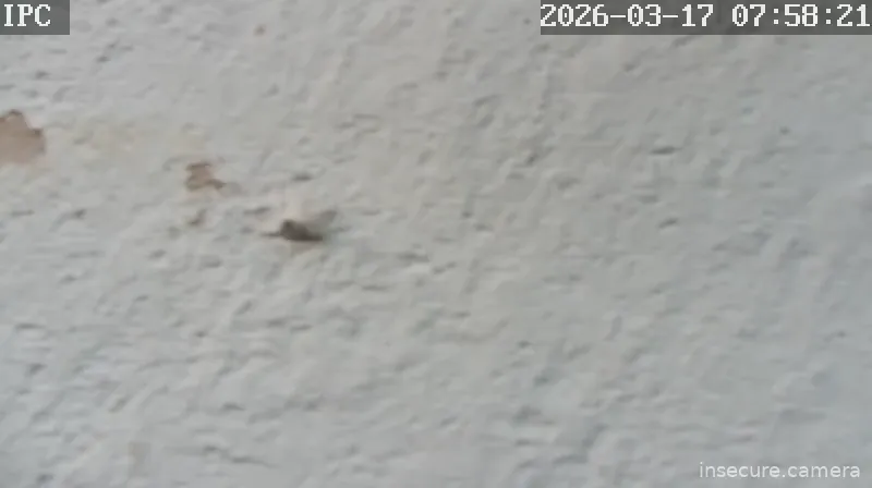 Capture from Mar 17, 2026 at 05:58 AM