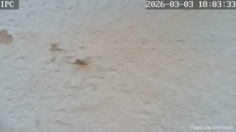 Capture from Mar 03, 2026 at 05:03 PM