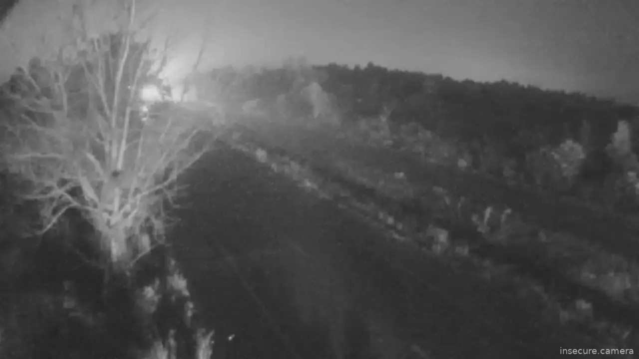 Capture from Feb 26, 2026 at 08:01 PM