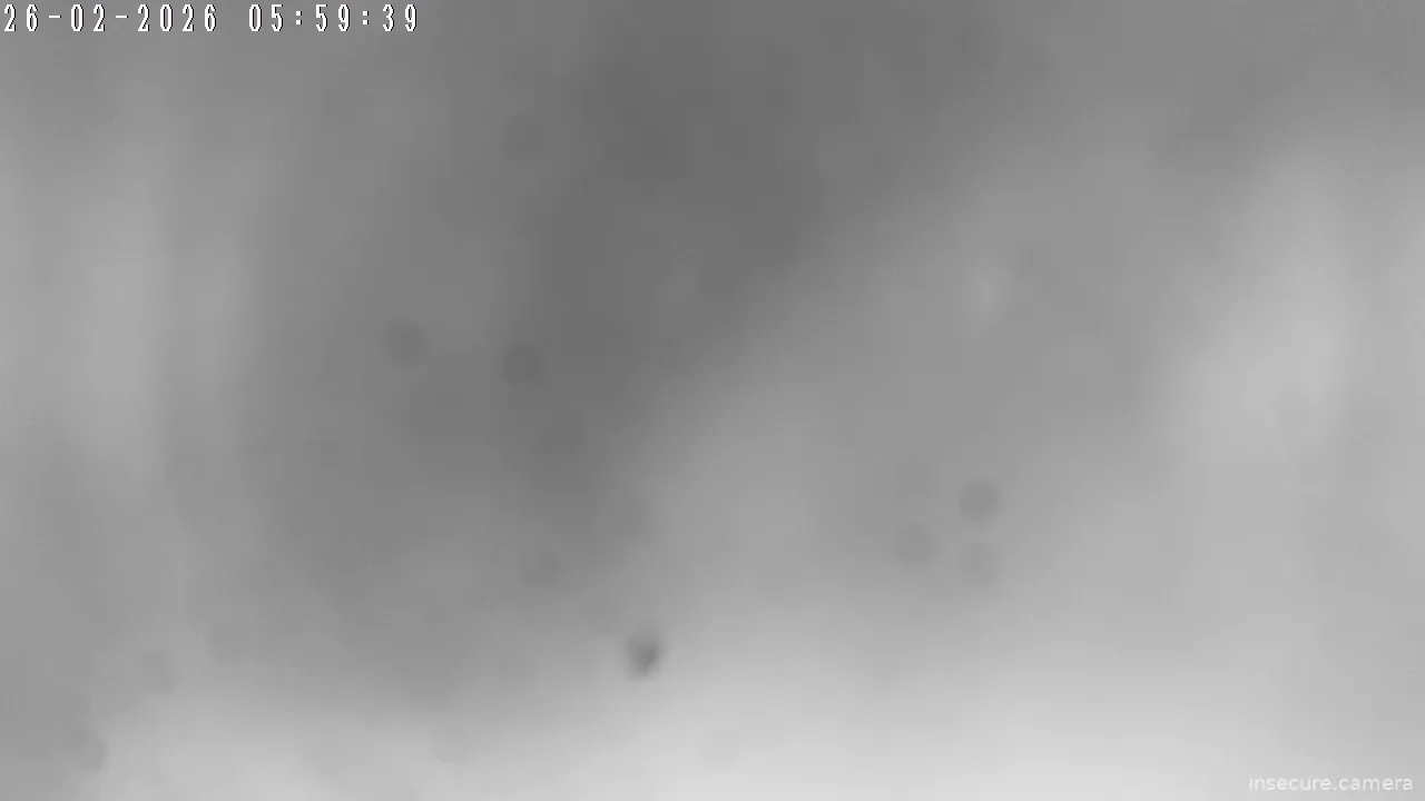 Capture from Feb 25, 2026 at 08:59 PM
