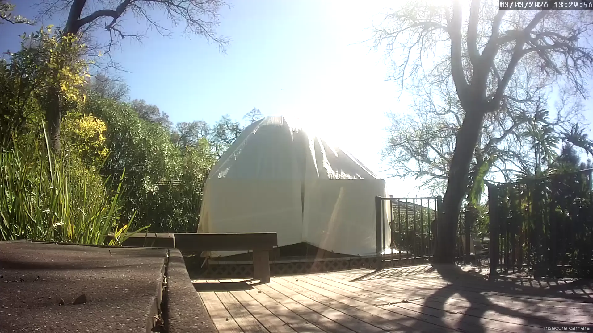 Capture from Mar 03, 2026 at 09:30 PM