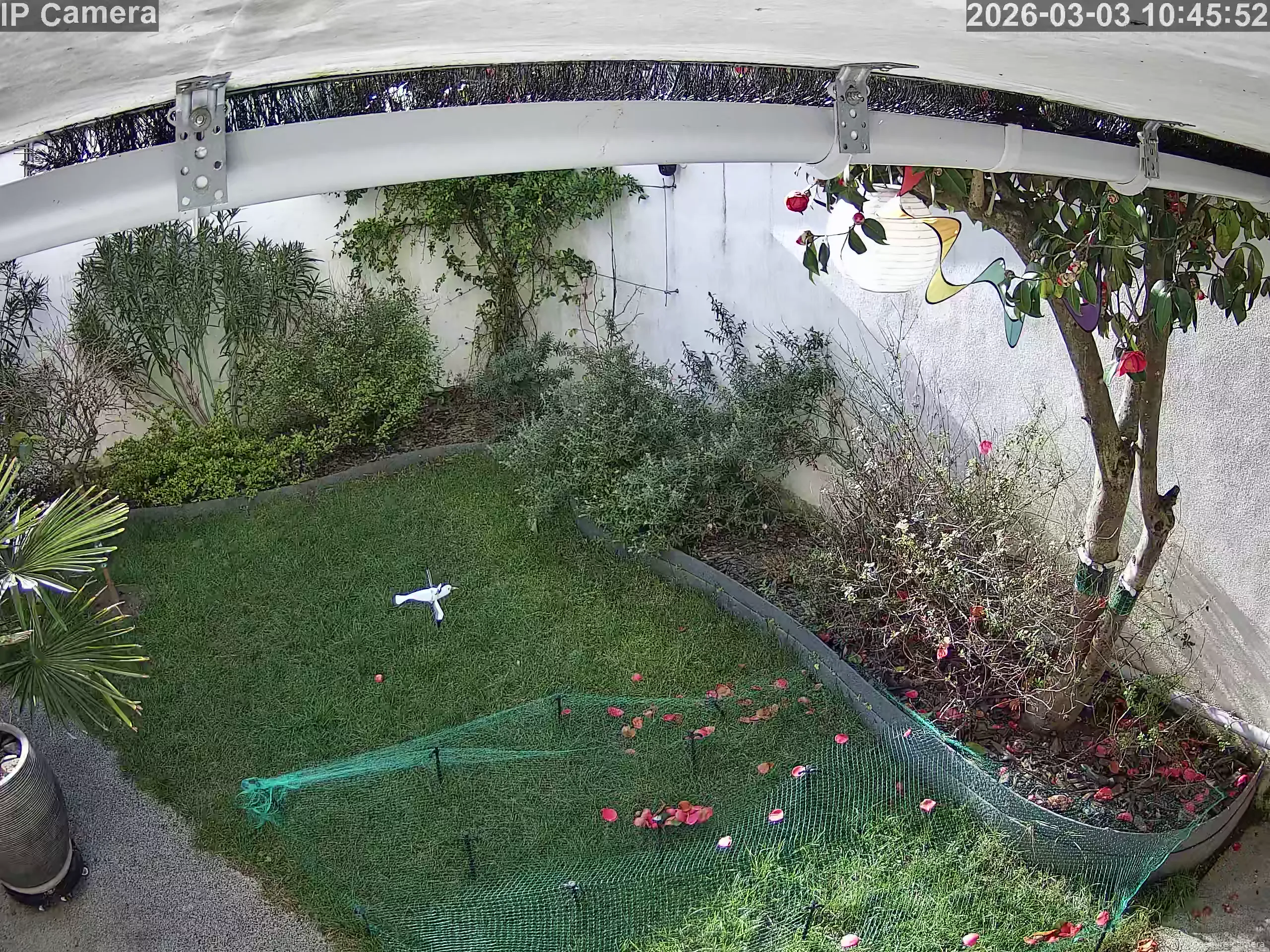 Capture from Mar 03, 2026 at 09:46 AM