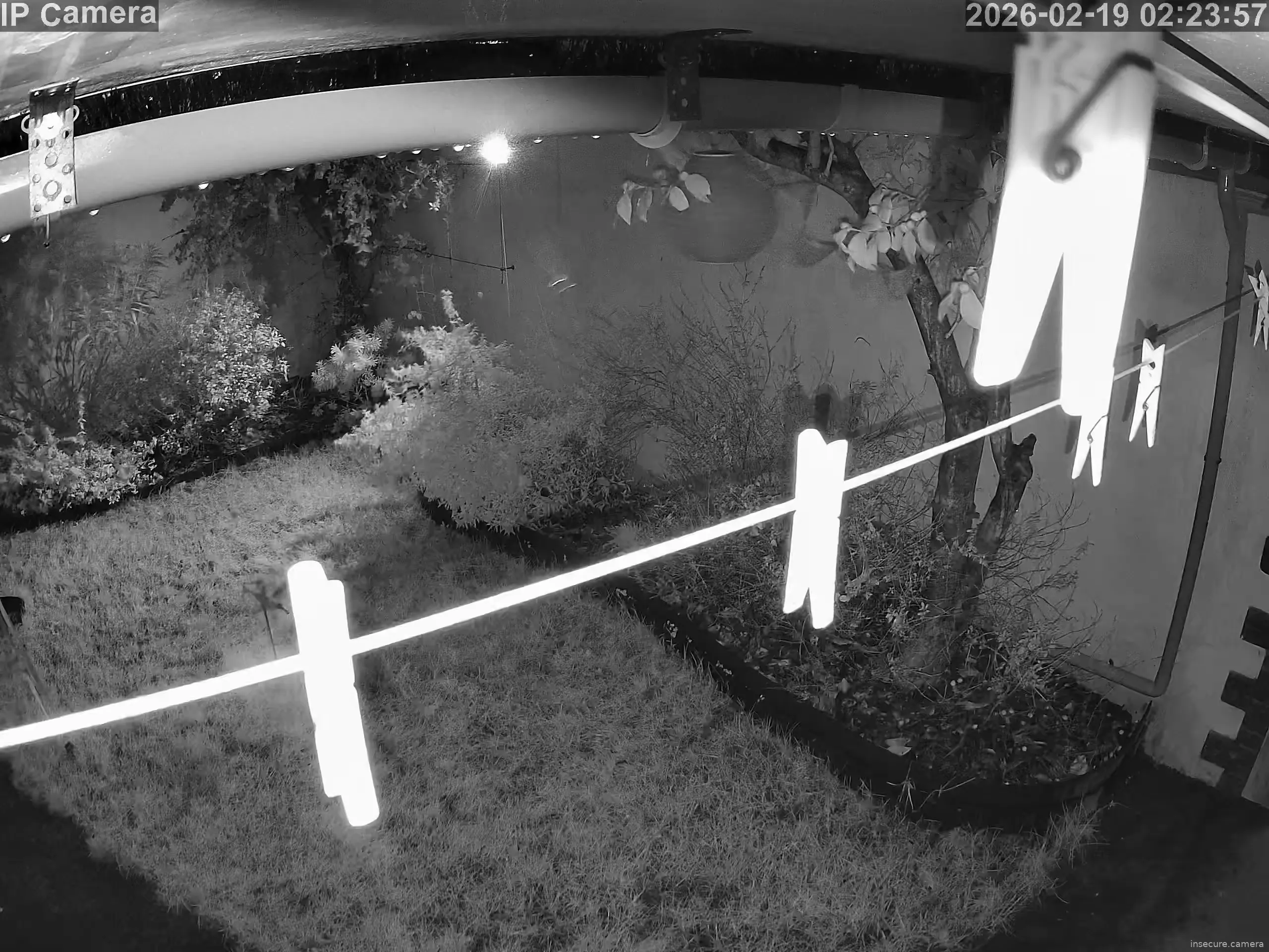 Capture from Feb 19, 2026 at 01:24 AM