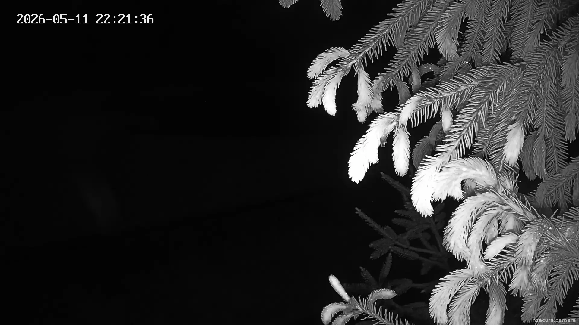 Capture from May 11, 2026 at 07:29 PM