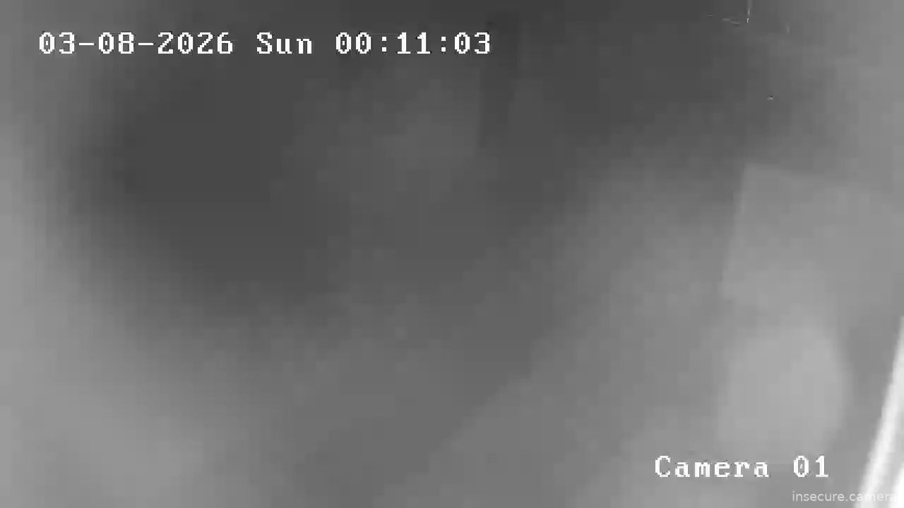 Capture from Mar 07, 2026 at 08:11 PM