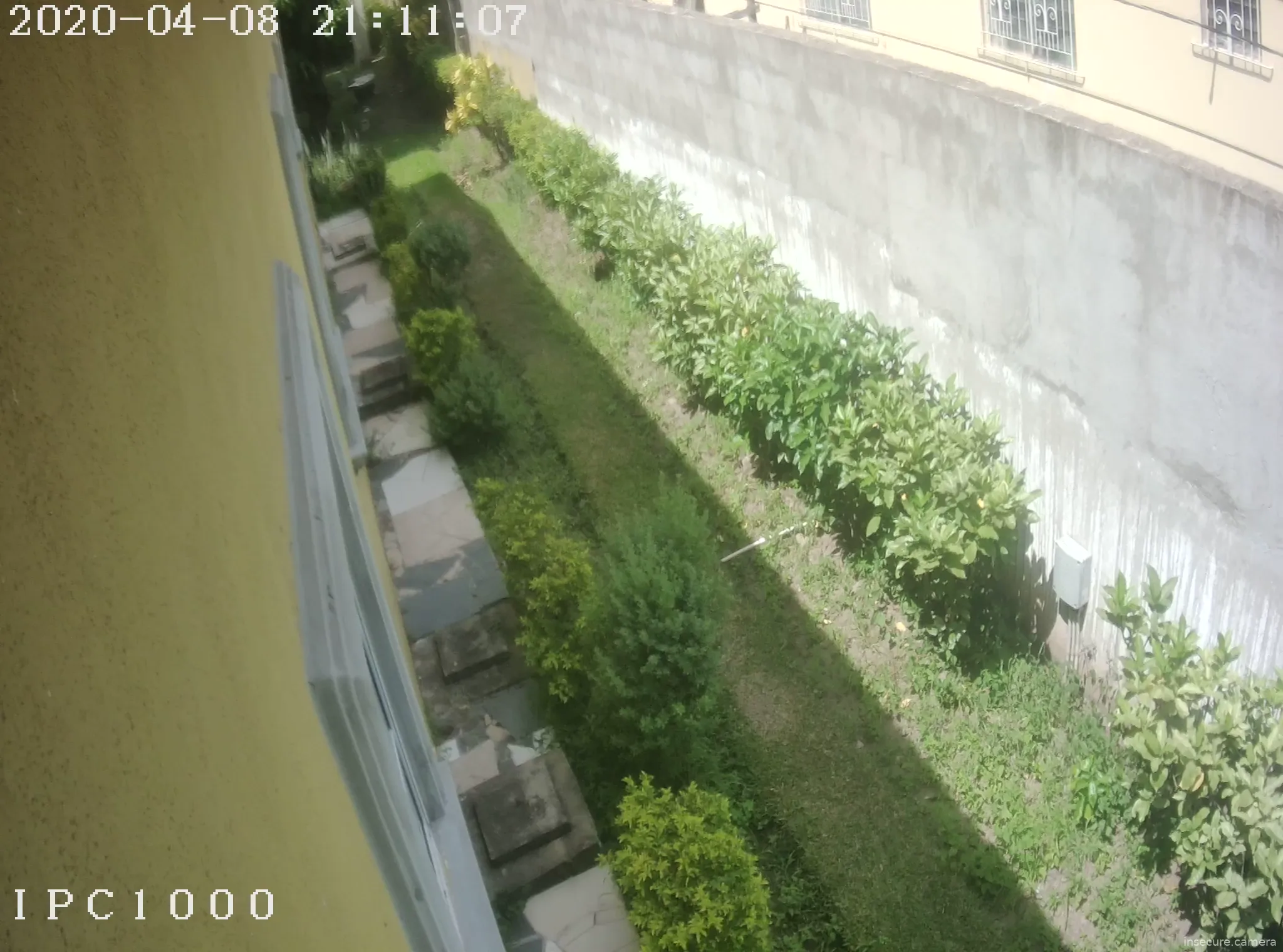 Camera in Jamaica