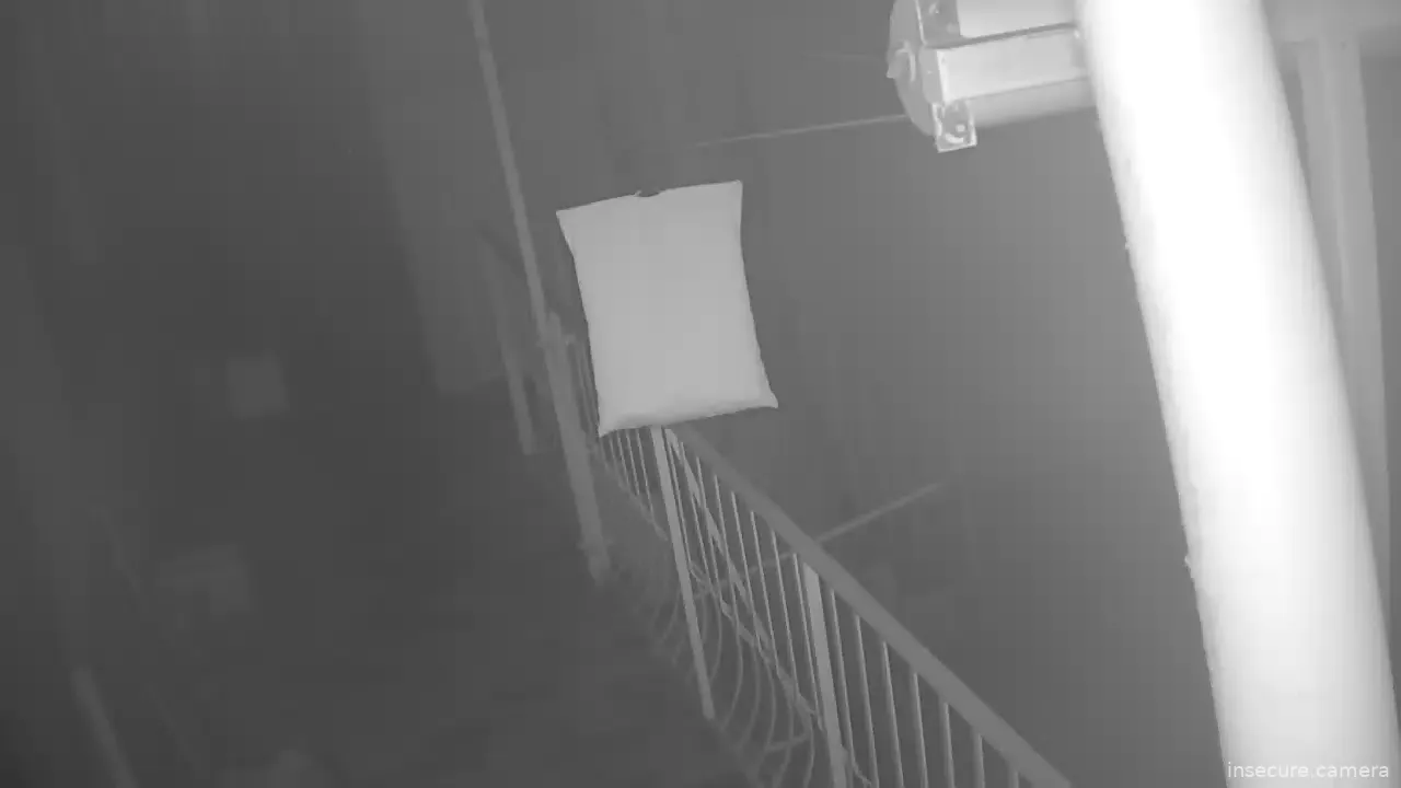 Capture from Feb 19, 2026 at 02:29 AM