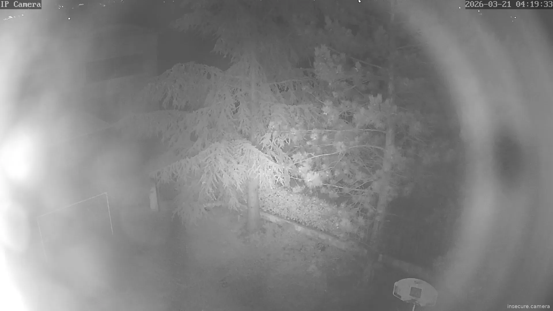 Capture from Mar 21, 2026 at 02:20 AM