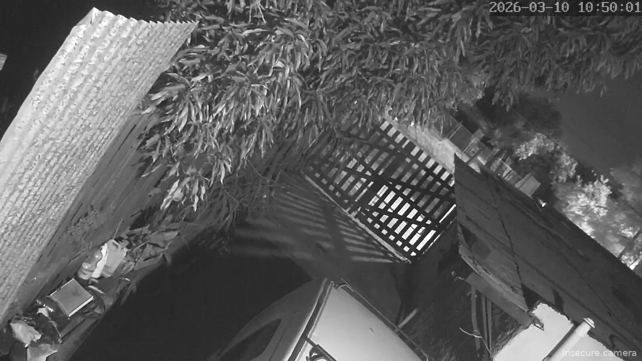 Capture from Mar 10, 2026 at 02:50 AM