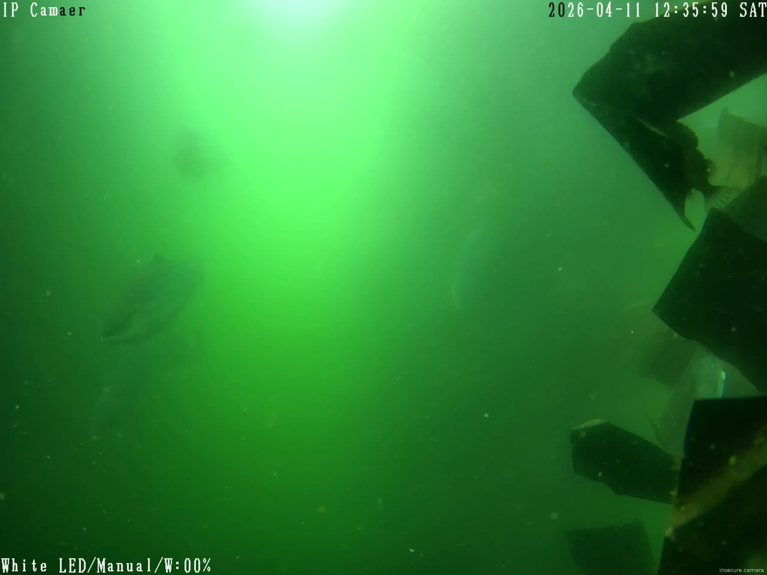 Capture from May 11, 2026 at 11:02 AM