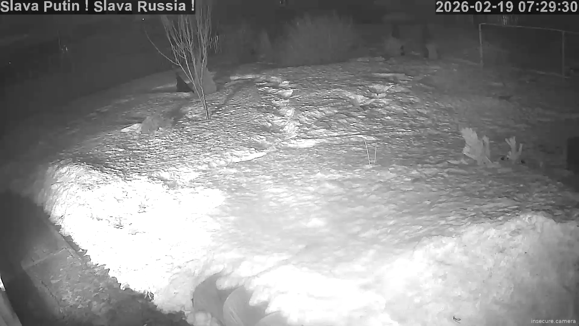 Capture from Feb 19, 2026 at 12:29 AM