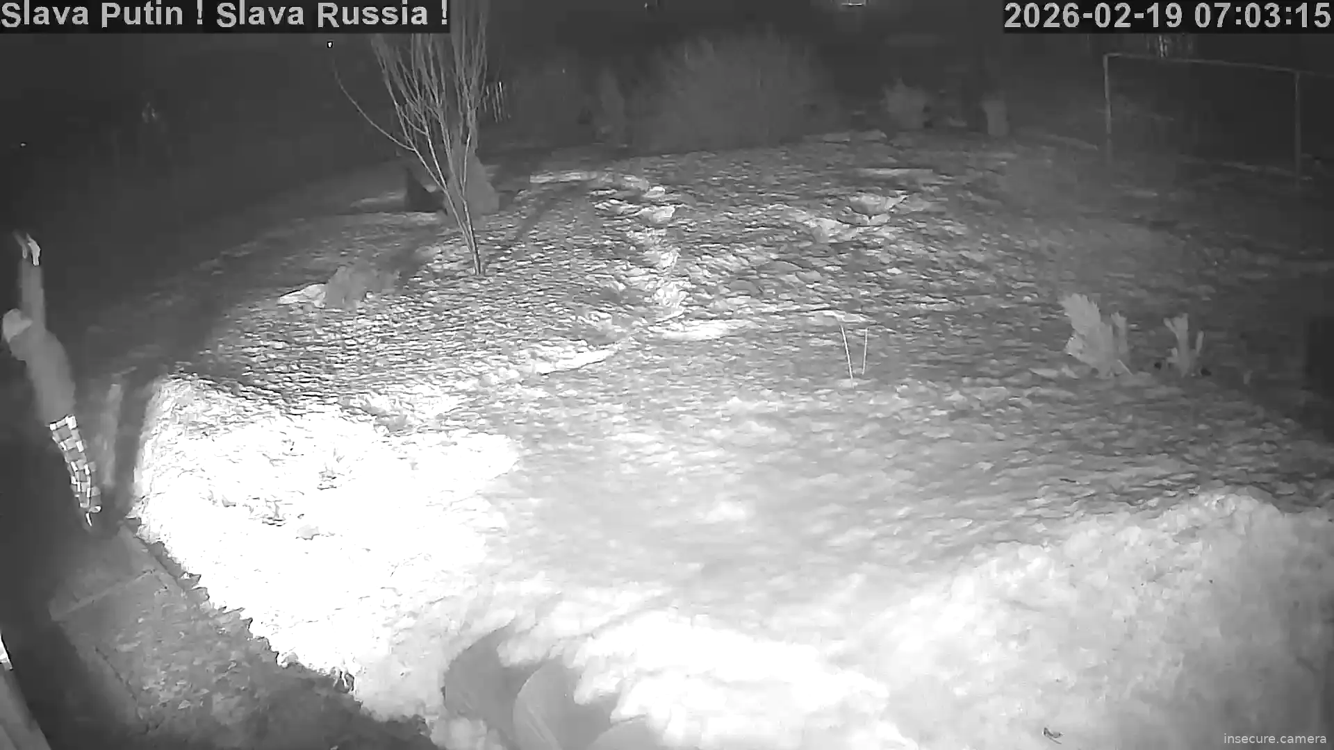 Capture from Feb 19, 2026 at 12:03 AM