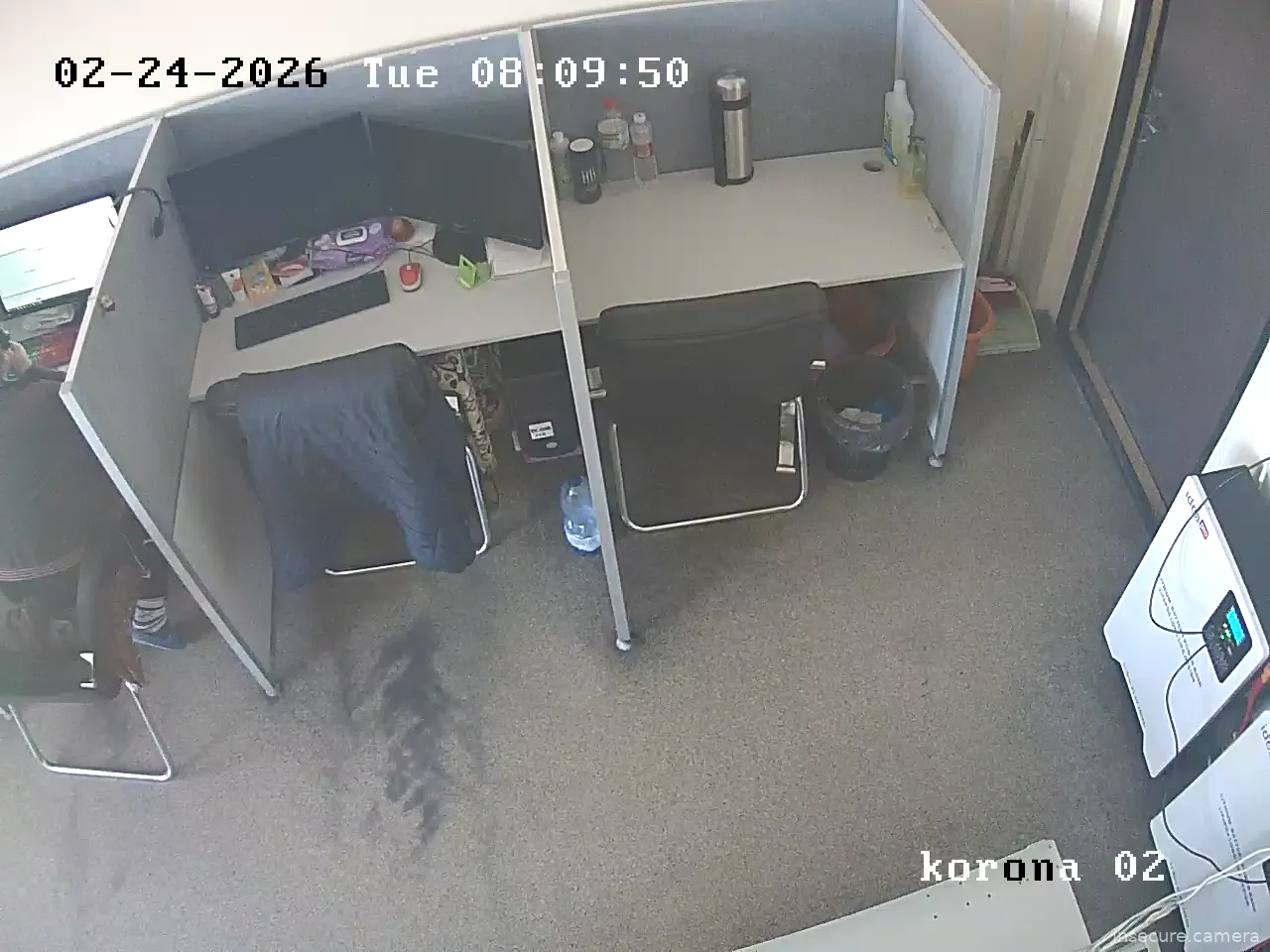 Capture from Feb 24, 2026 at 06:07 AM