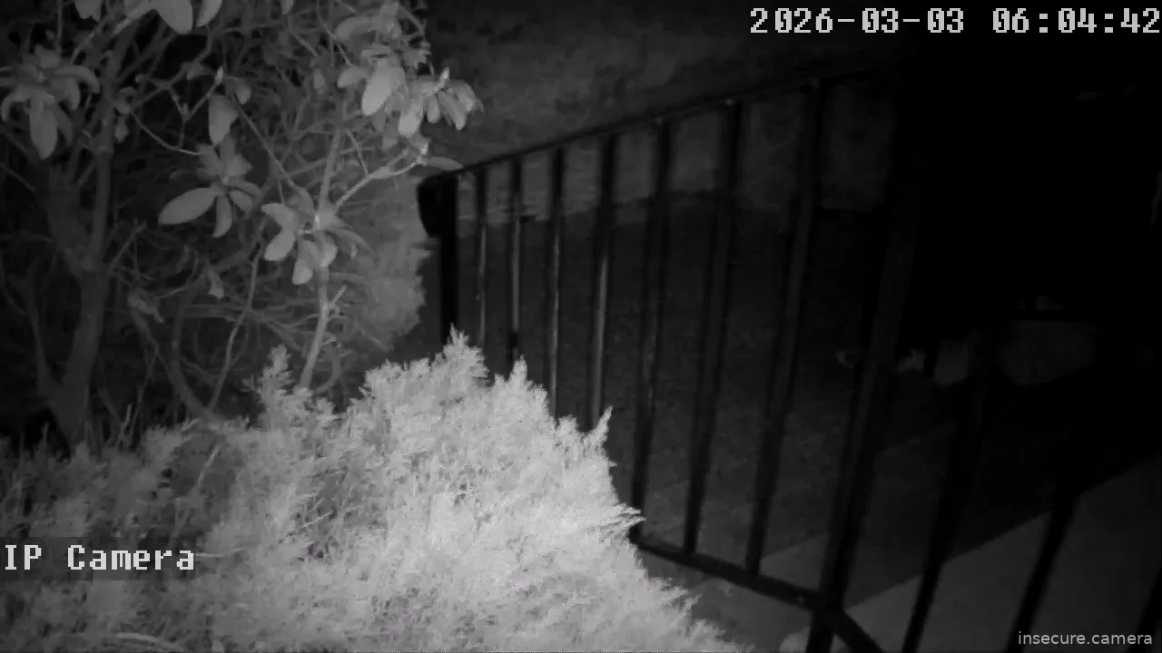 Capture from Mar 03, 2026 at 02:04 PM