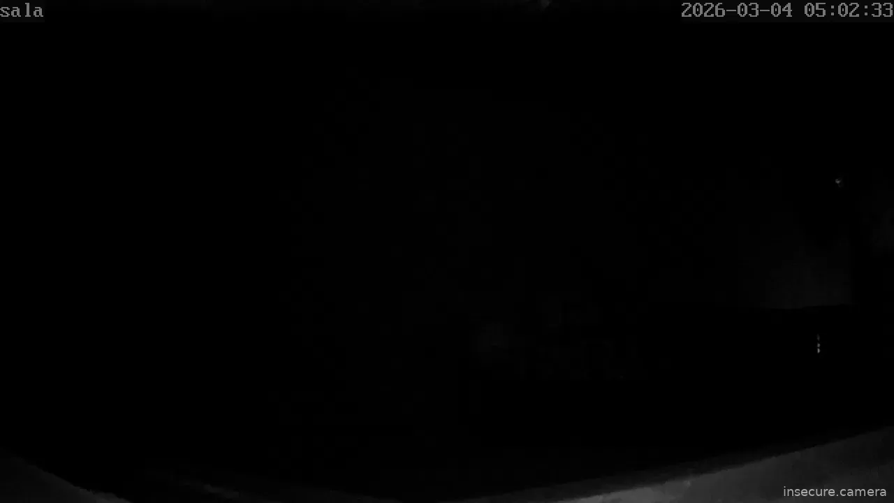 Capture from Mar 04, 2026 at 03:02 AM