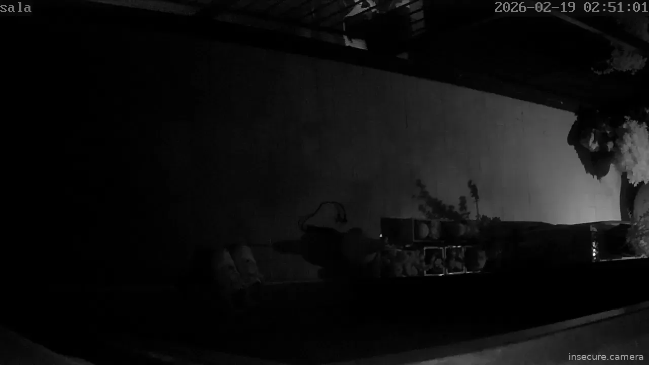 Capture from Feb 19, 2026 at 12:51 AM