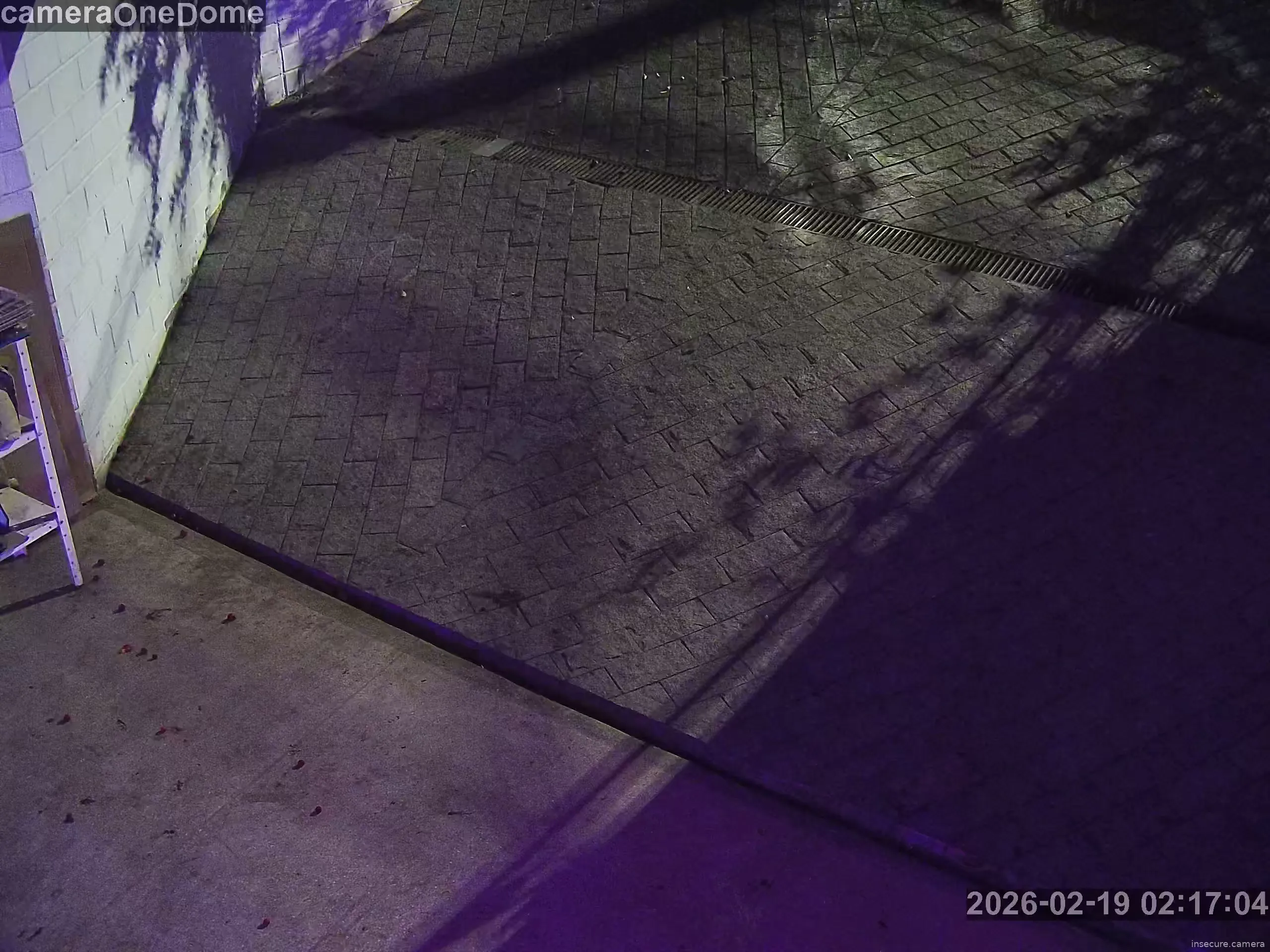 Capture from Feb 19, 2026 at 05:18 AM