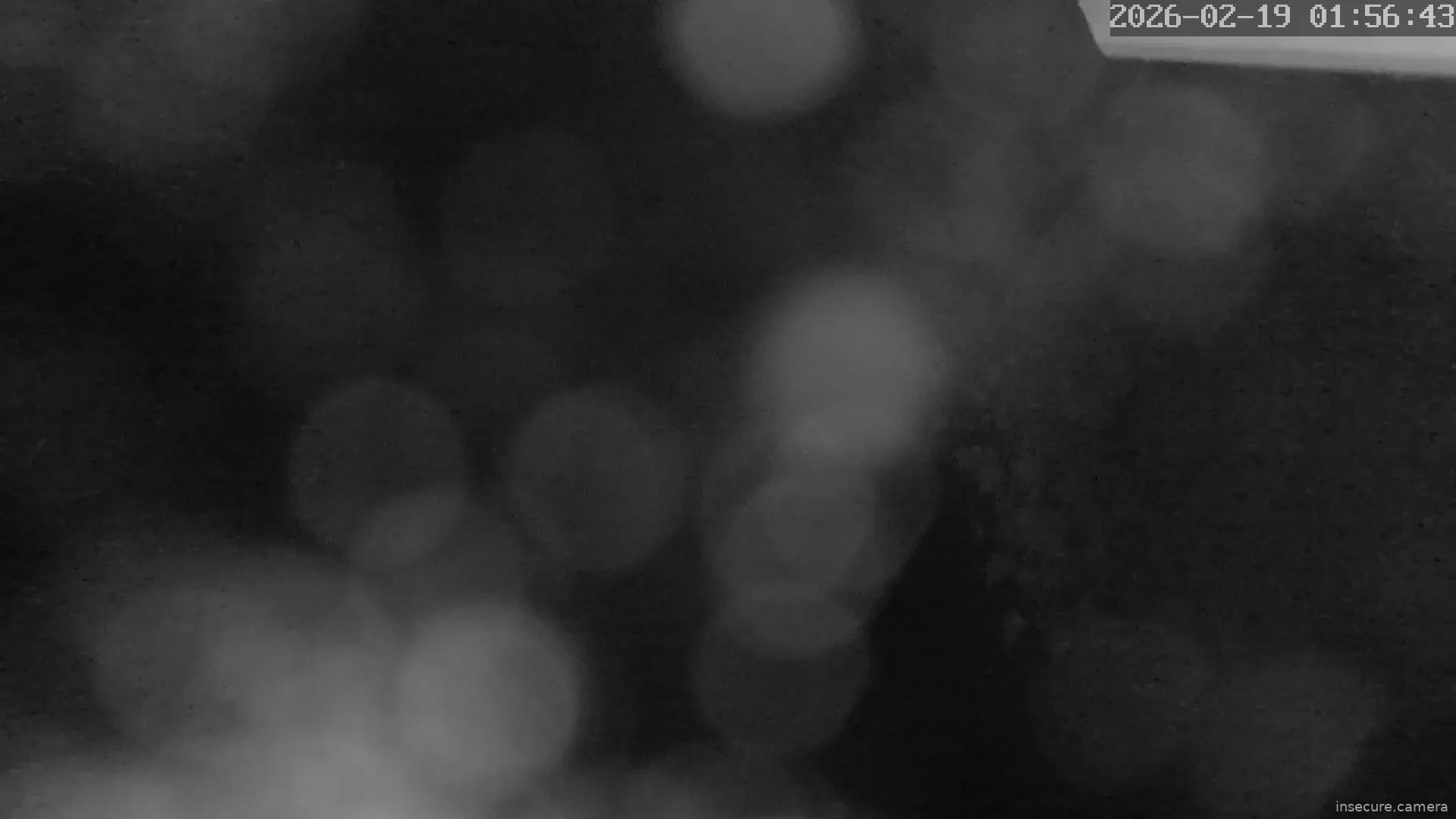 Capture from Feb 19, 2026 at 12:57 AM