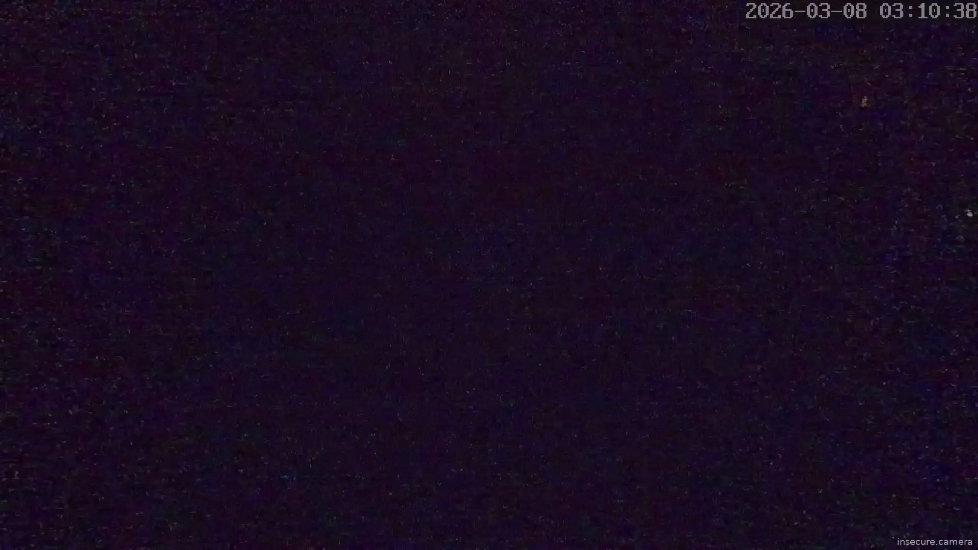 Capture from Mar 08, 2026 at 02:11 AM