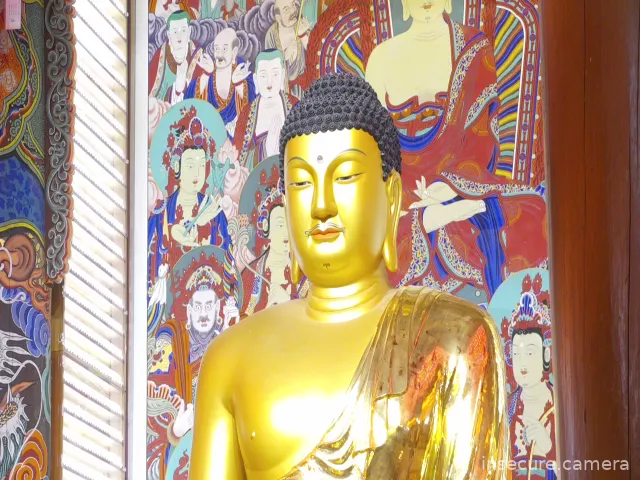 Camera in South Korea