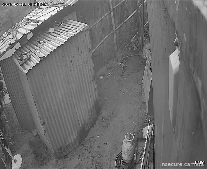 Capture from Feb 19, 2026 at 01:14 AM