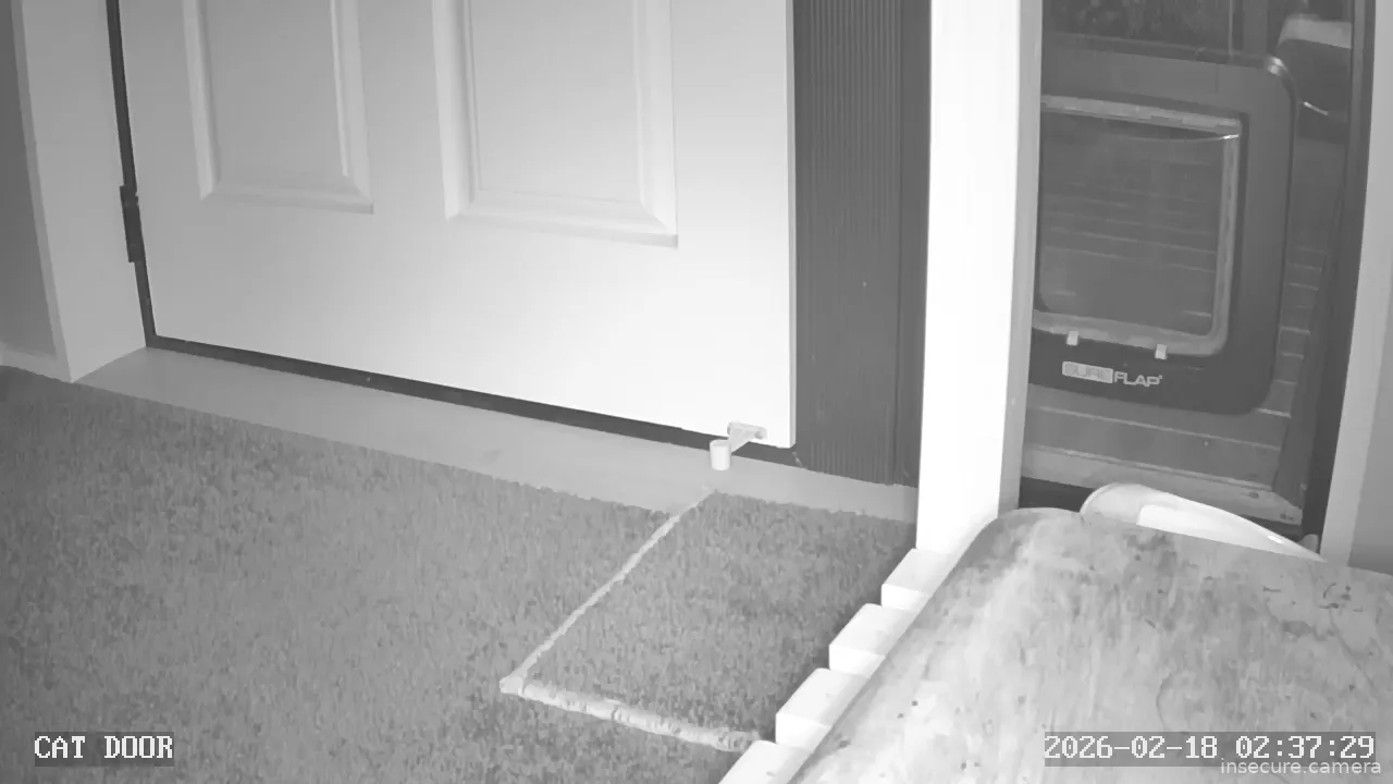 Camera in New Zealand