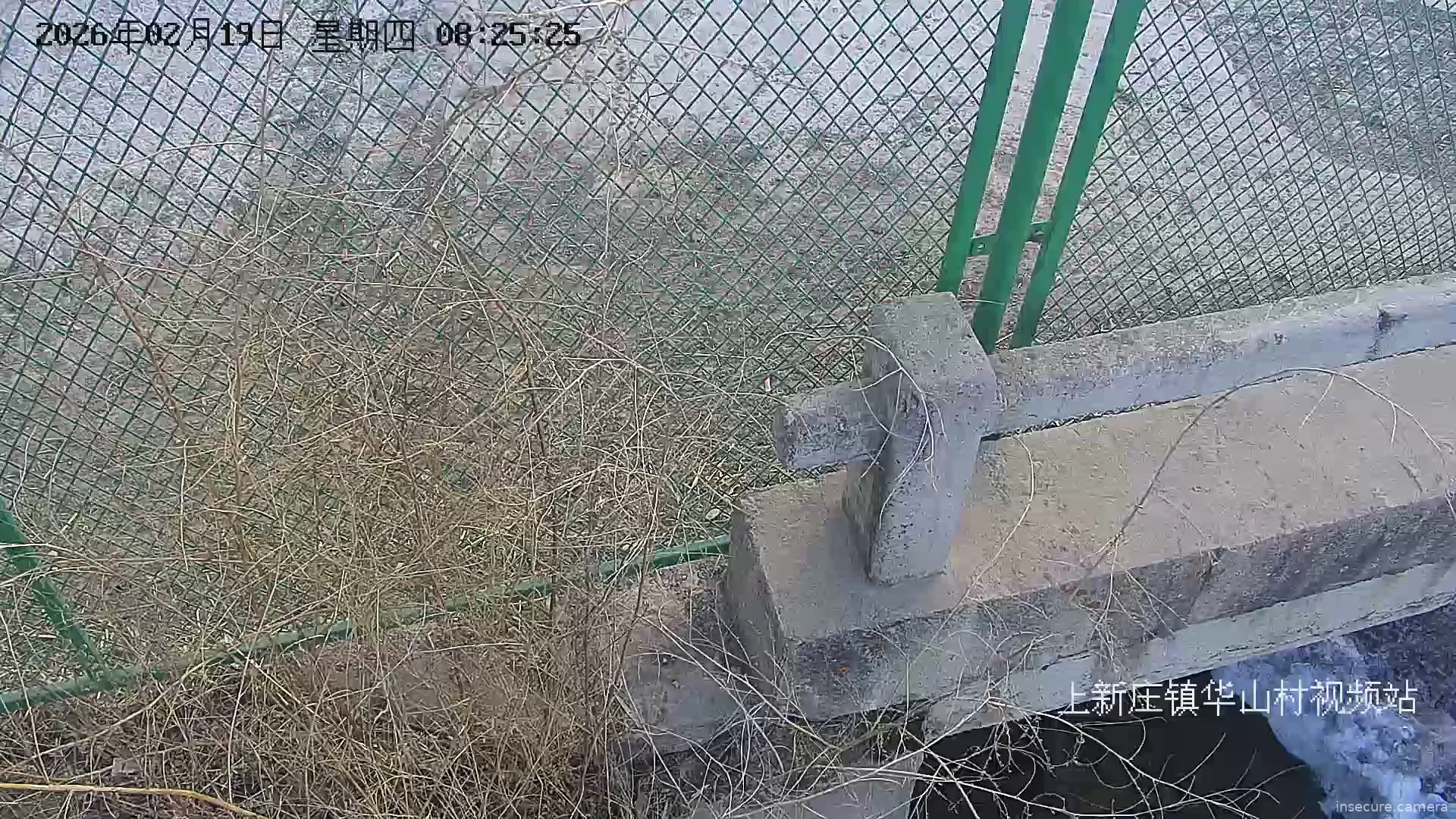 Capture from Feb 19, 2026 at 12:32 AM