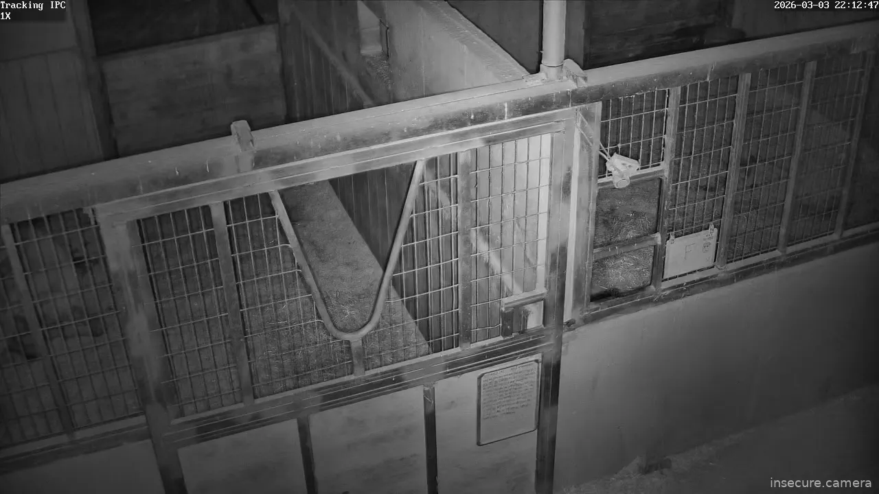 Capture from Mar 03, 2026 at 01:13 PM