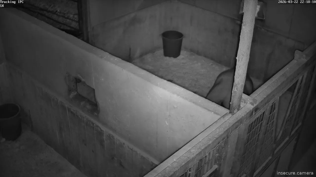 Capture from Mar 22, 2026 at 01:18 PM