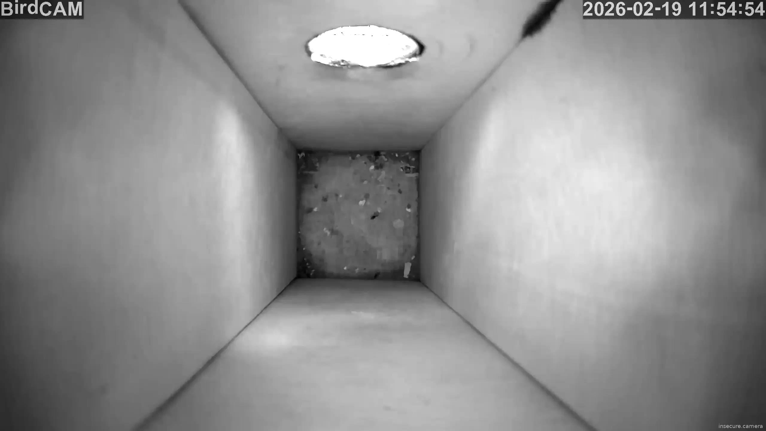 Capture from Feb 19, 2026 at 10:55 AM