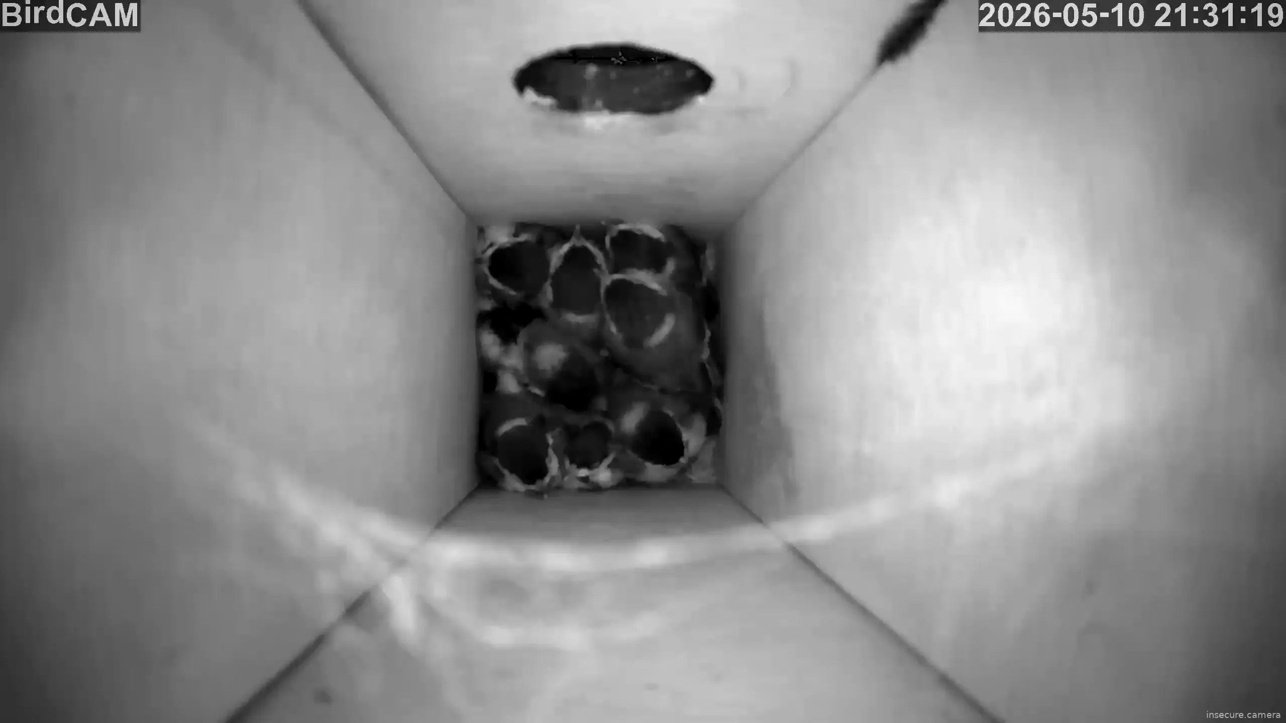 Capture from May 10, 2026 at 07:31 PM