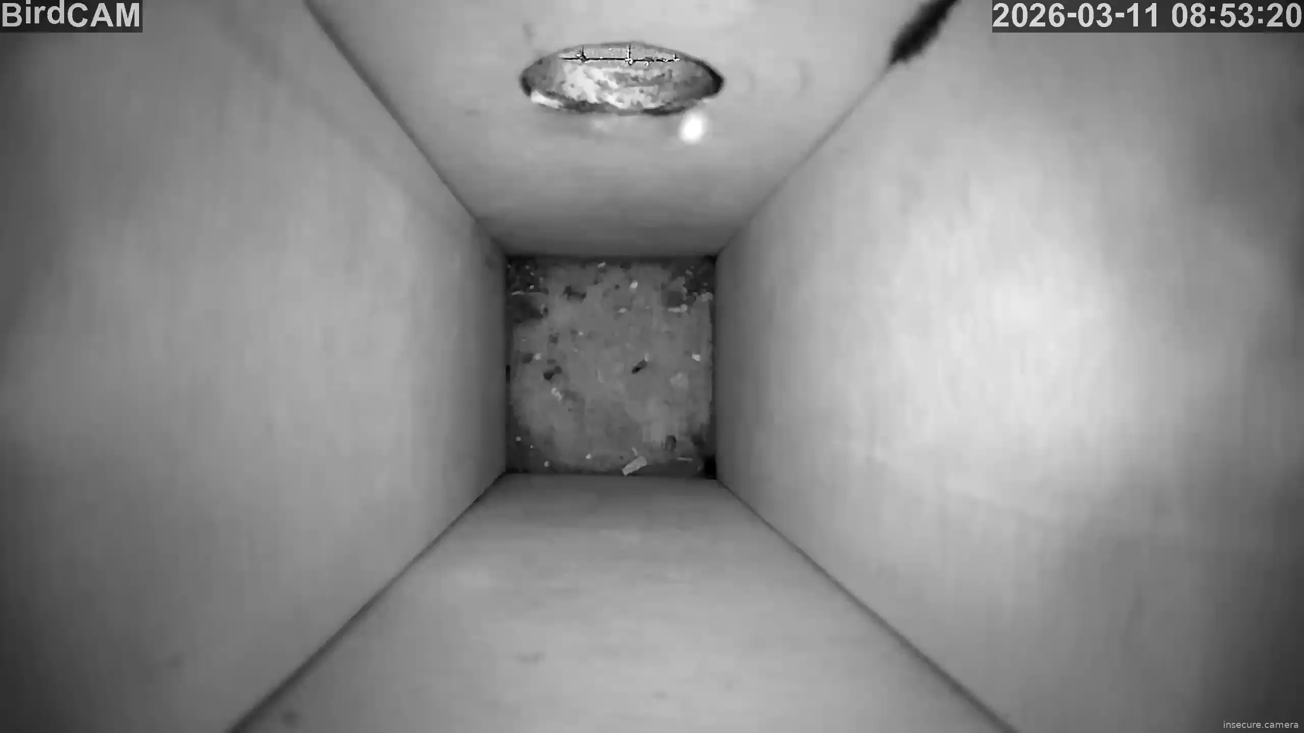 Capture from Mar 11, 2026 at 07:53 AM